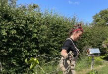 Vild med biodiversitet Vild med vilje