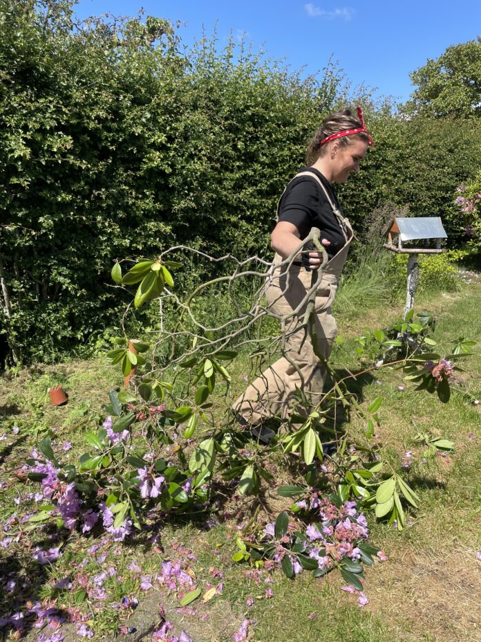 Vild med biodiversitet Vild med vilje